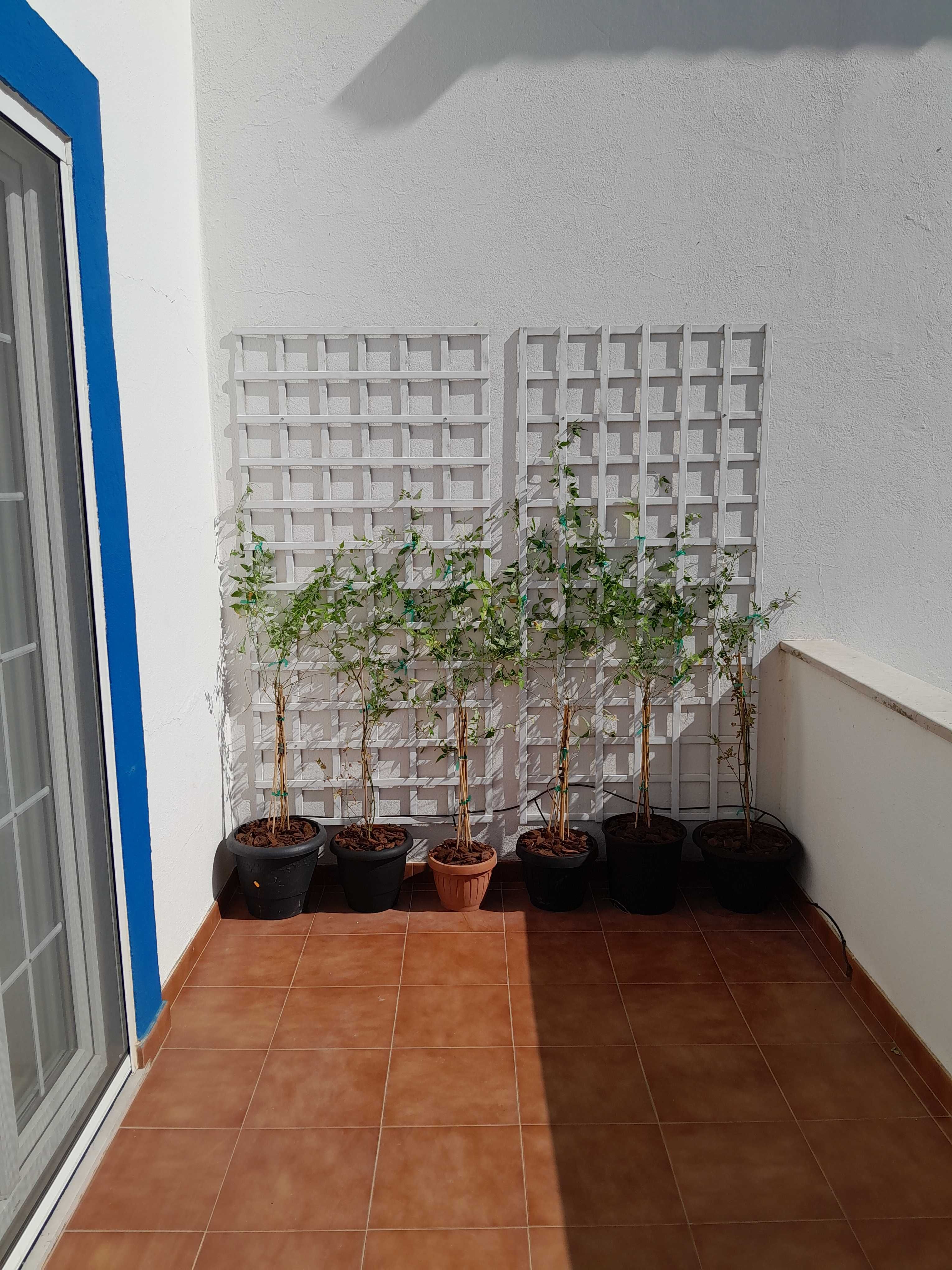 Realizo trabalhos de jardinagem e limpeza de terrenos