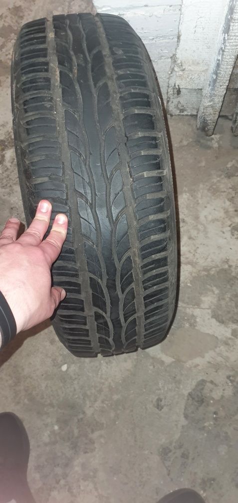 Opona Dębica presto 205/65 r15