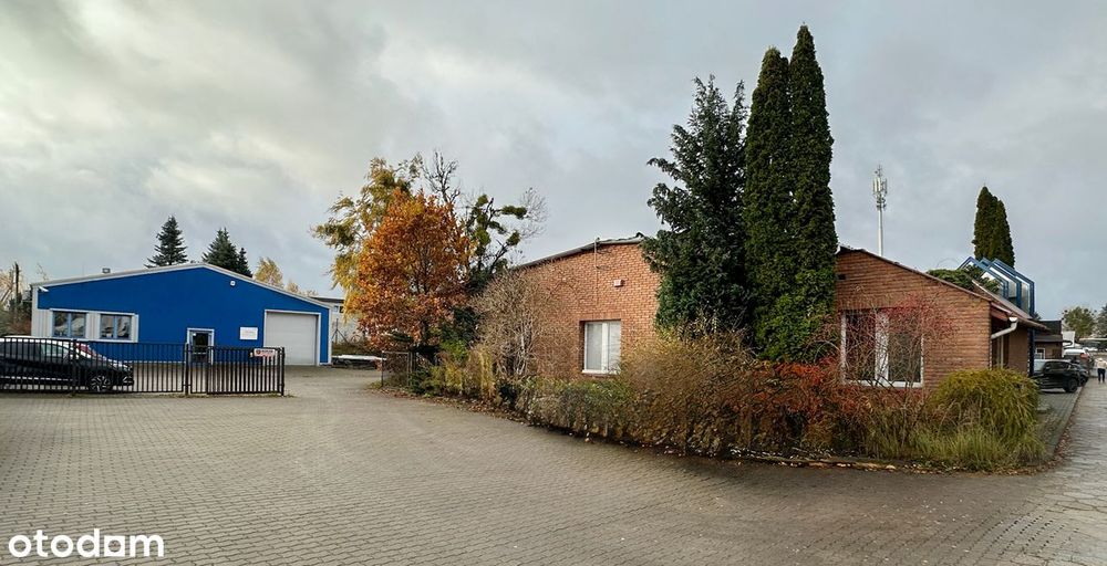 Hale magazynowo-usługowe na sprzedaż (294,00 m2 + 440,00 m2)