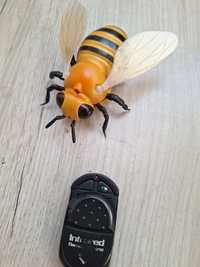 Pszczoła na pilota