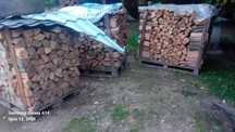 Sprzedam Drzewo bukowe