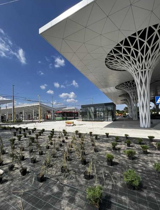 Usługi ogrodnicze, projektowanie ogrodu, realizacja ogrodu,