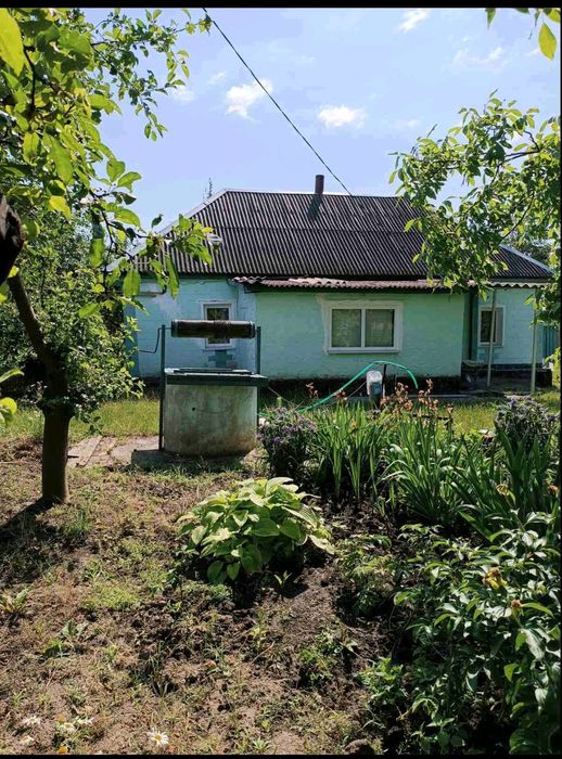 Будинок в гарному стані