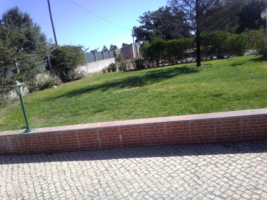 Jardinagem podas e abate de árvores