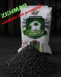 Promocja ZENMAR Węgiel Groszek