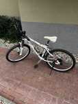 Rower Wheeler dla nastolatki / kobiety.