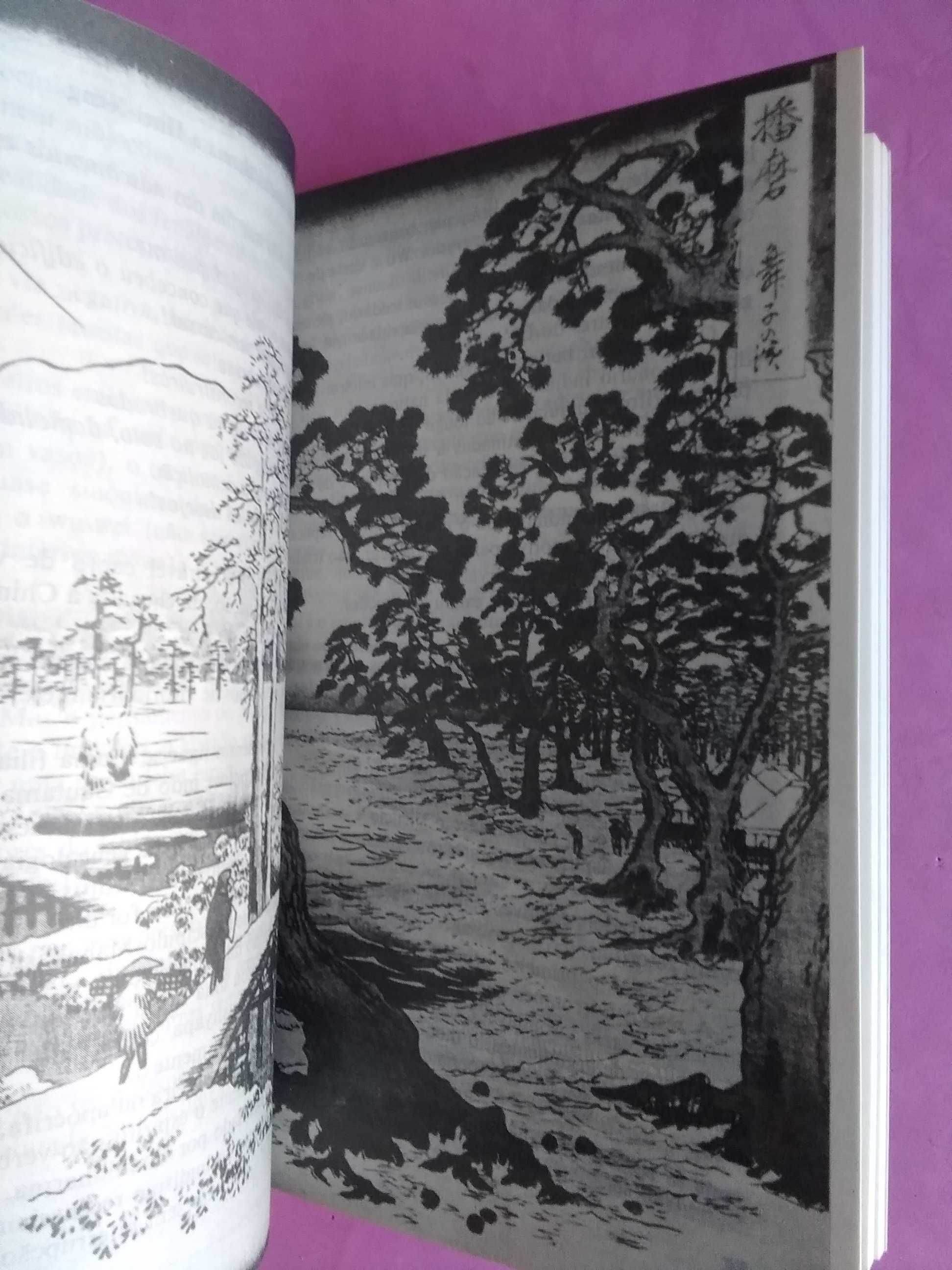 O Zen por Jean Michel Varenne