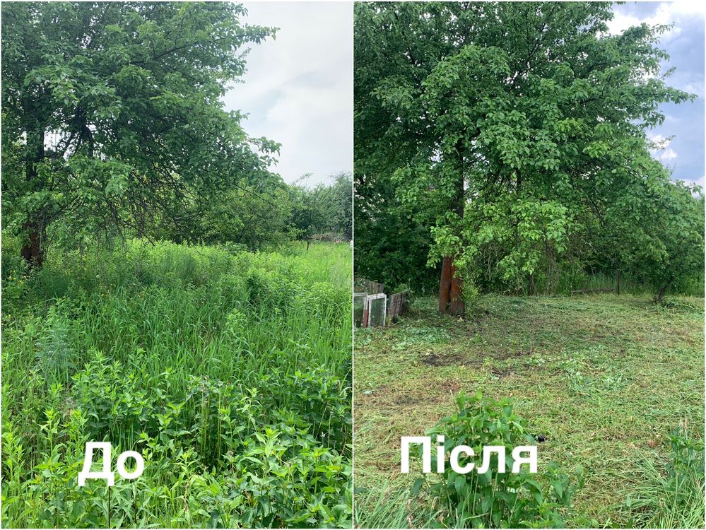 Покос травы любой сложности и обьема, Очистка участка, вывоз мусора.