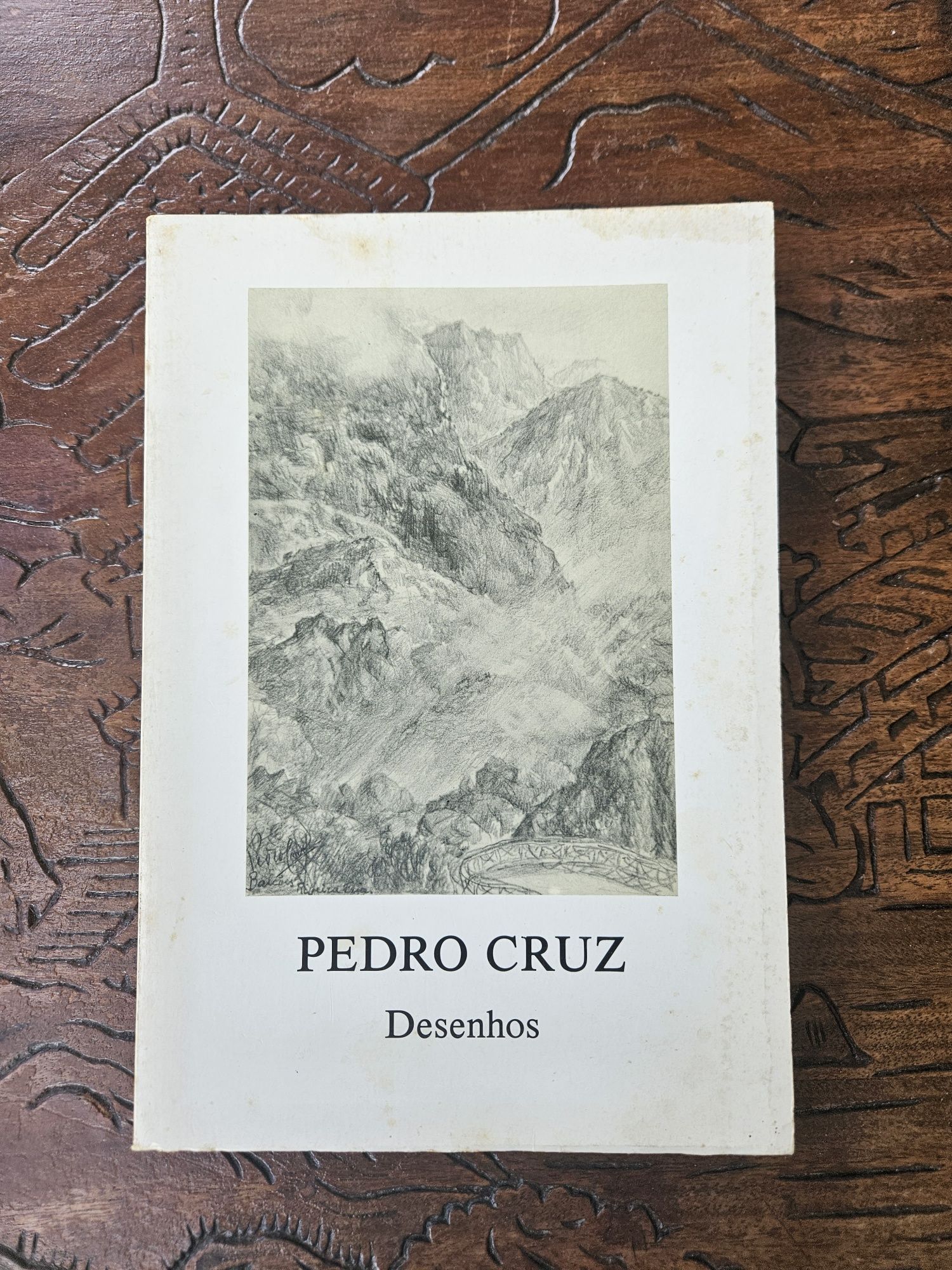 Livro Pedro Cruz desenhos