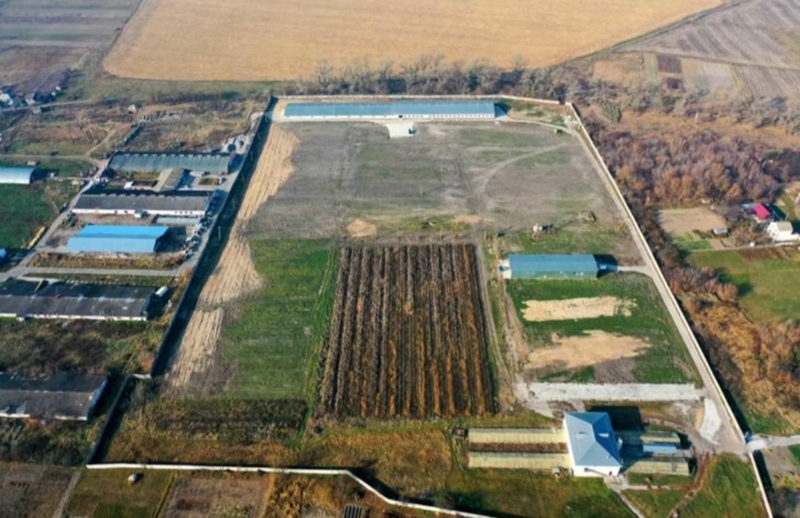 Продам производство и выращивание медицинского канабиса и конопли.