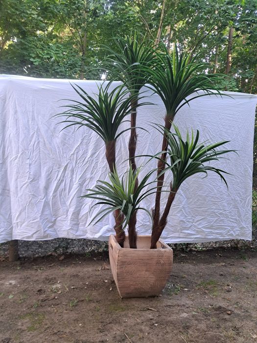 Juka yucca palma sztuczna z donicą