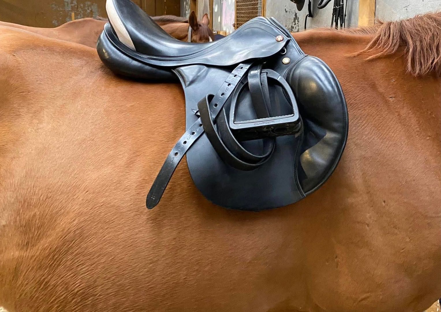 Siodło Prestige Venezia 17” 32