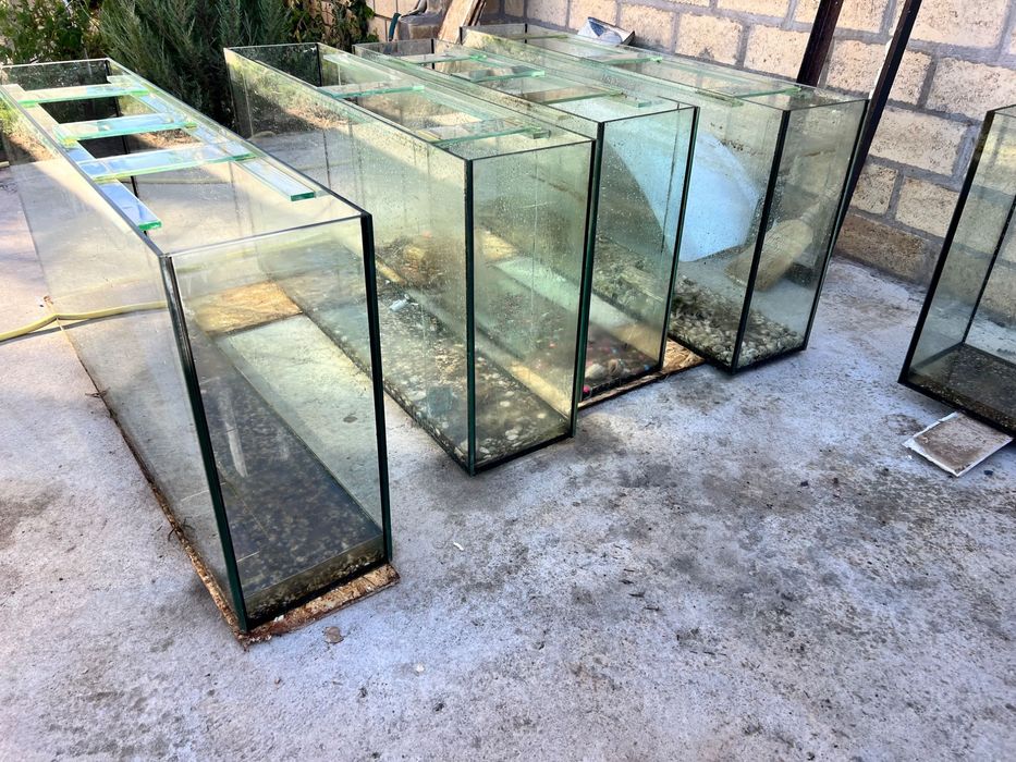 Акваріум для риб 150 л 200 л 250 л