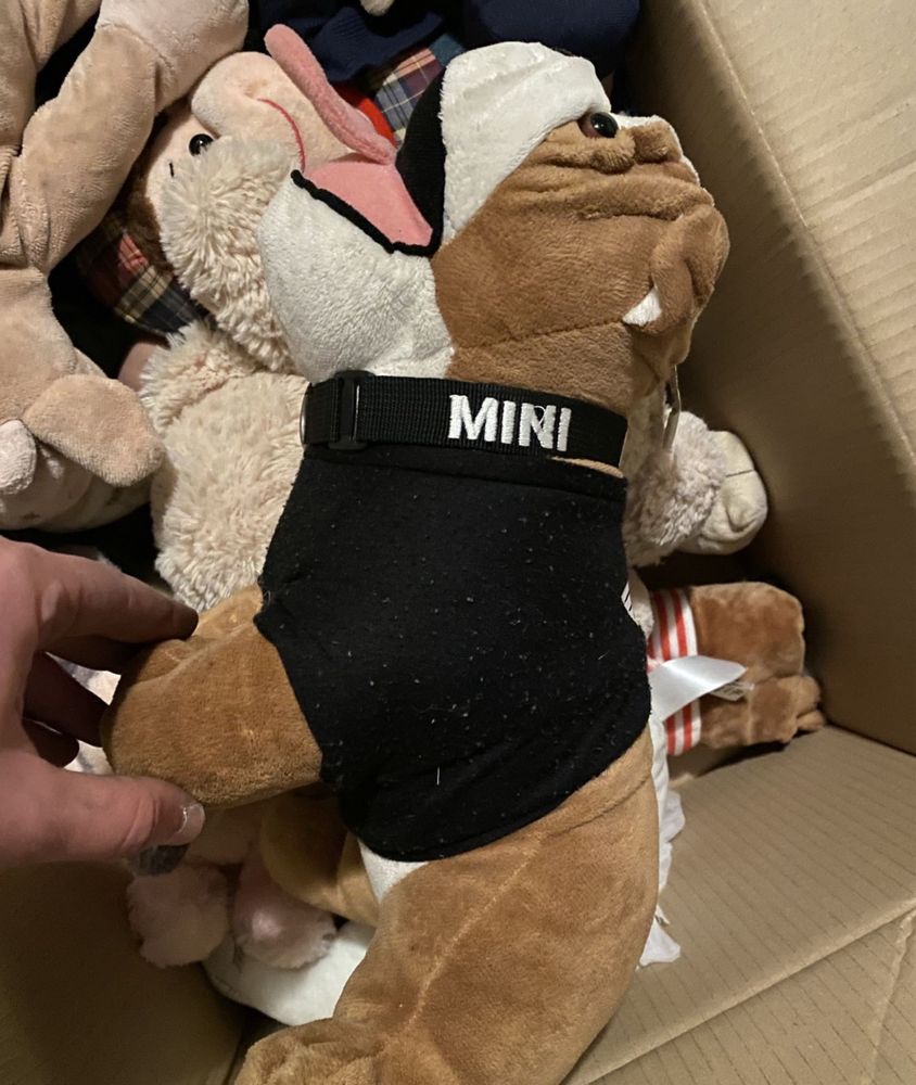 Bulldog Original MINI novo