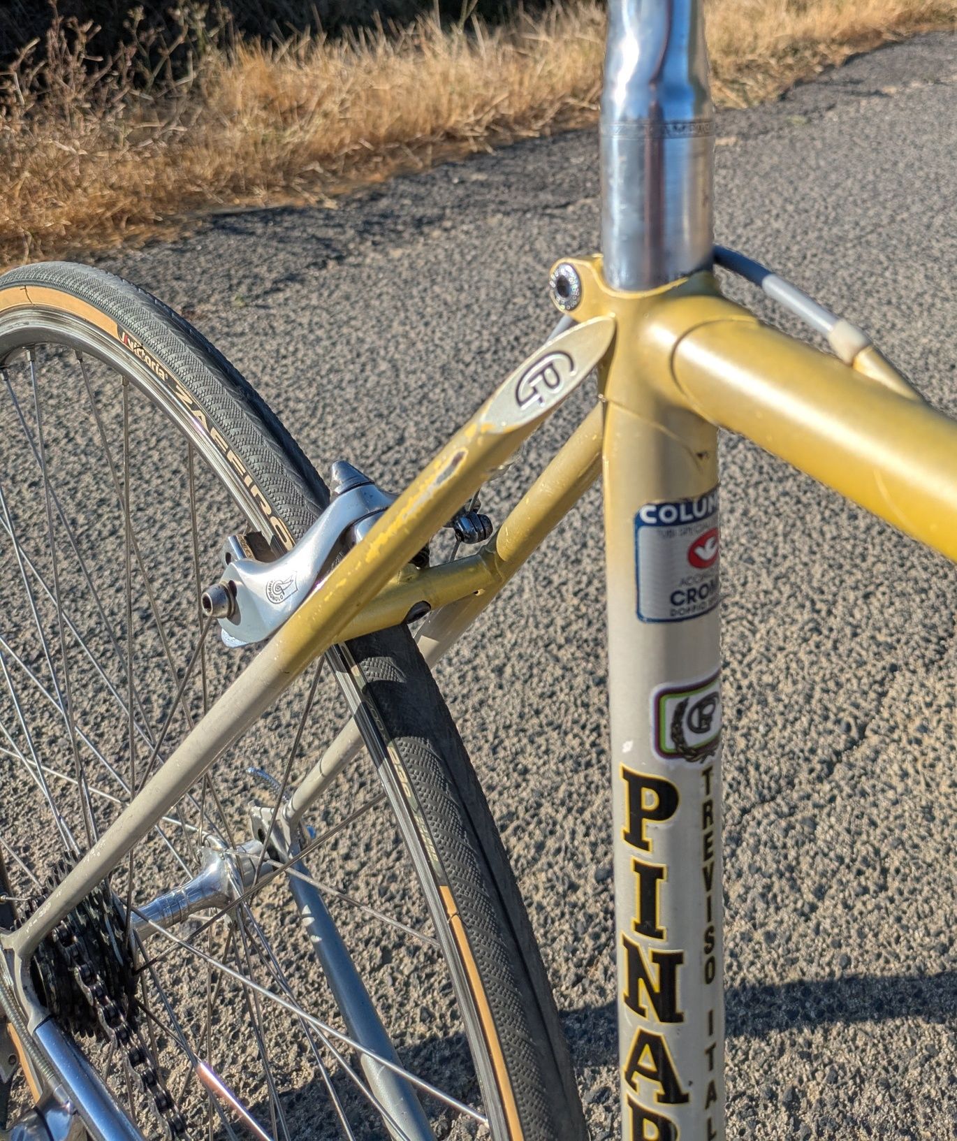 Bicicleta Pinarello Asolo + Campagnolo
