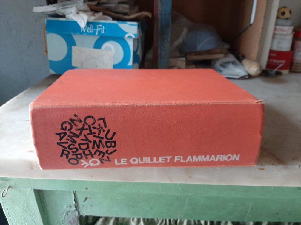 Dicionario Le Quillet Flammarion e Livro Joy Fielding Spiesel B.Seller