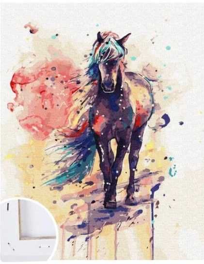 Art malowanie po numerkach konik