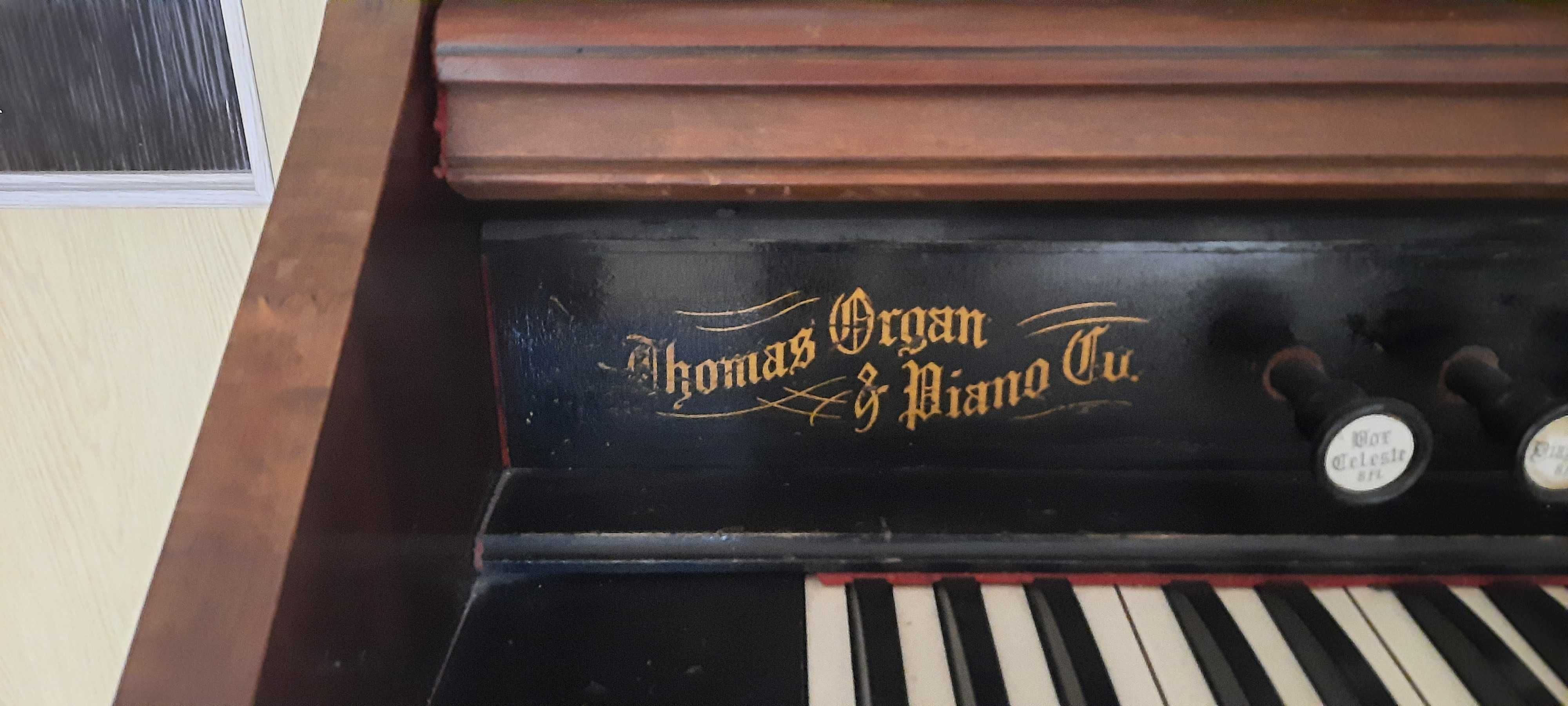 Fisharmonia organy kościelne Thomas Organ & Piano Du