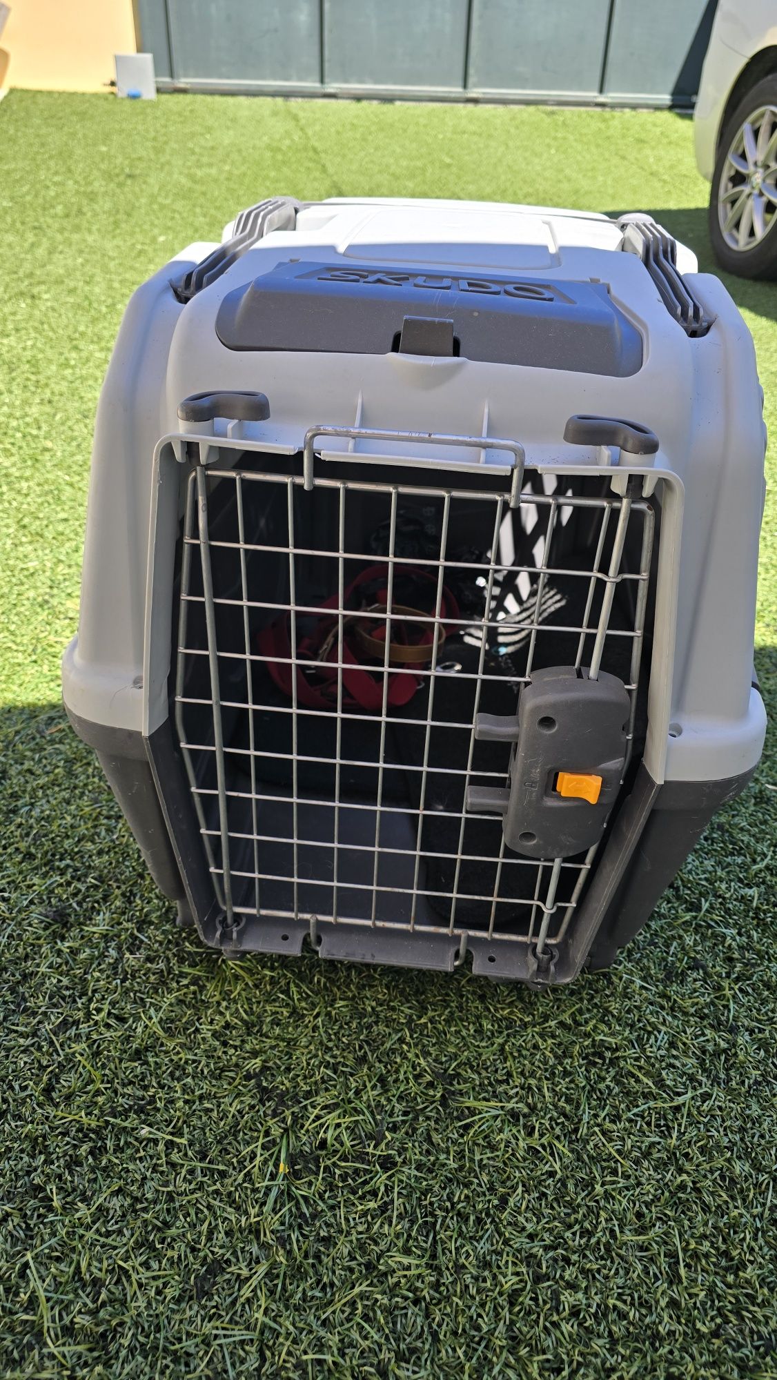 Transportadora iata 4 para cães