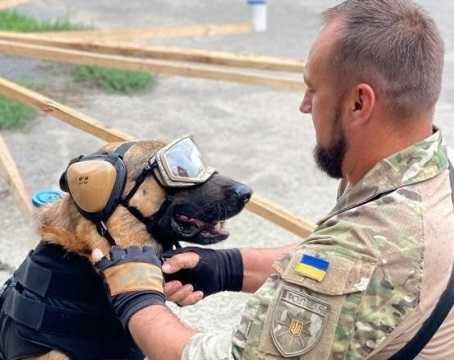 Тактичні професійні навушники для собаки (для захисту слуху собаки)
