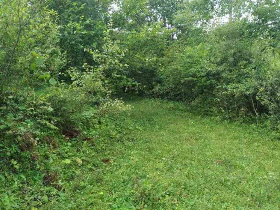 Продається чудова ділянка в курортному селищі Орявчик. Власник!
