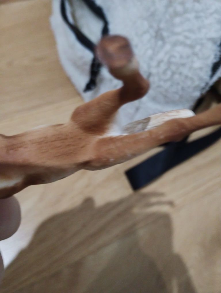 Sprzedam konia schleich źrebak