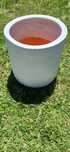 Vendo vaso branco para jardim