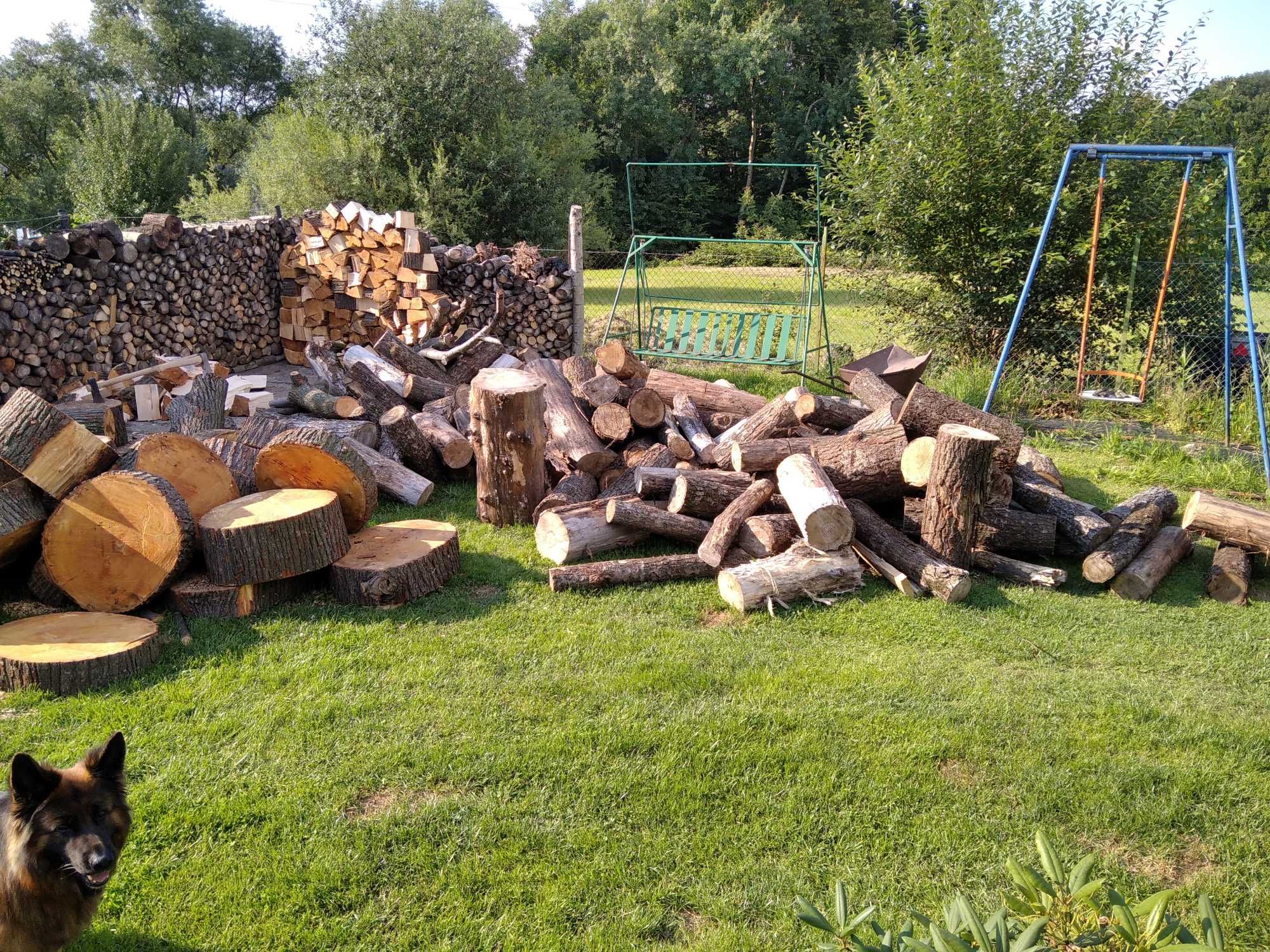 Pielęgnacja ogrodów/Wycinka drzew/Przycinanie żywopłotów, tui.
