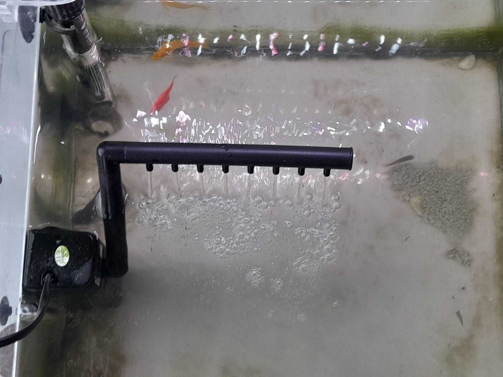 Aquário com acessórios