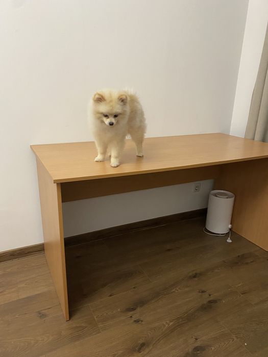 Стіл, робочий стіл, комп’ютерний стіл, письмовий стіл, 70х150