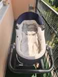 Zestaw wózków dziecięcych Stokke Trialz oraz Stokke Xplory