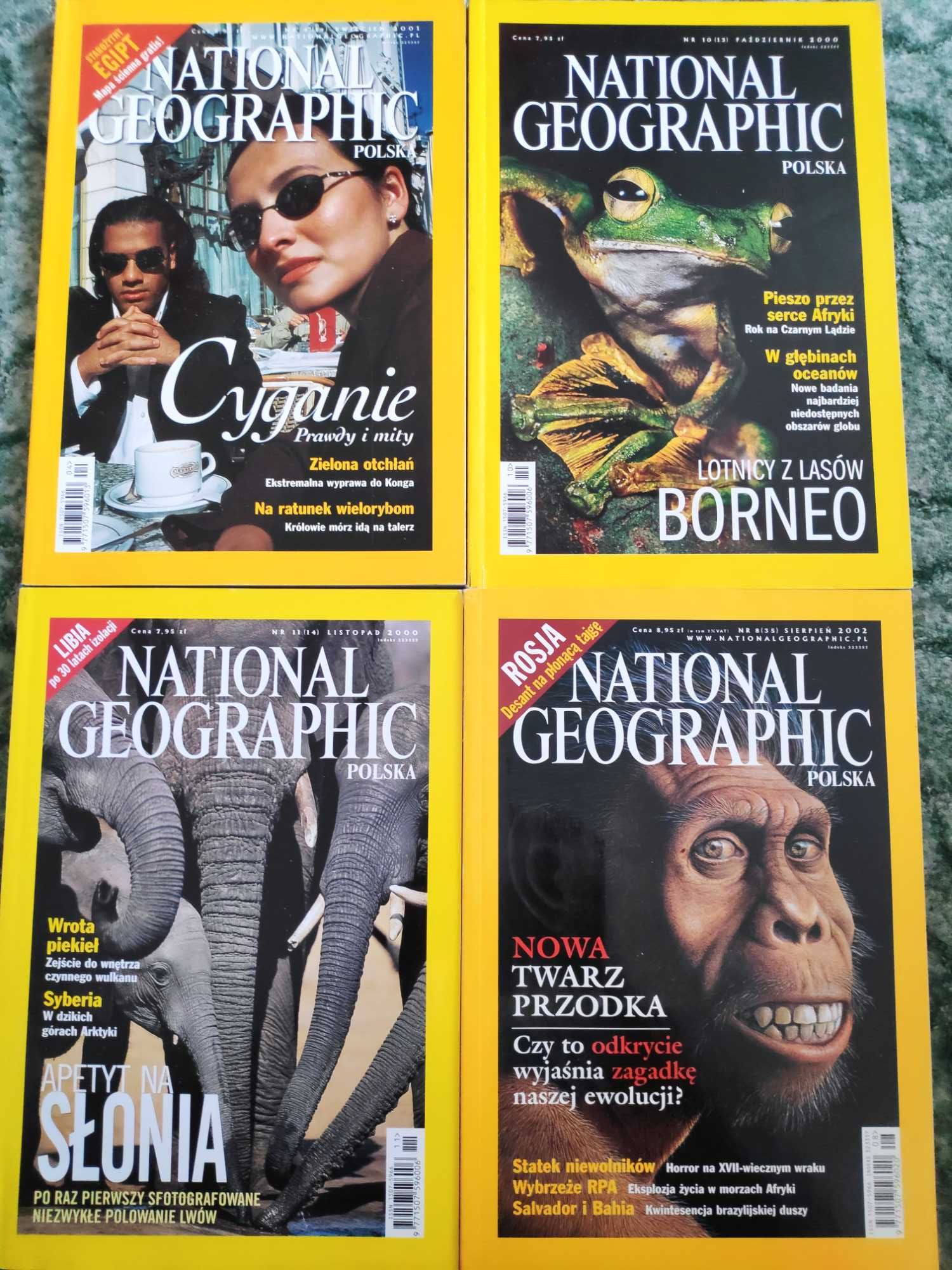 Czasopismo National Geographic