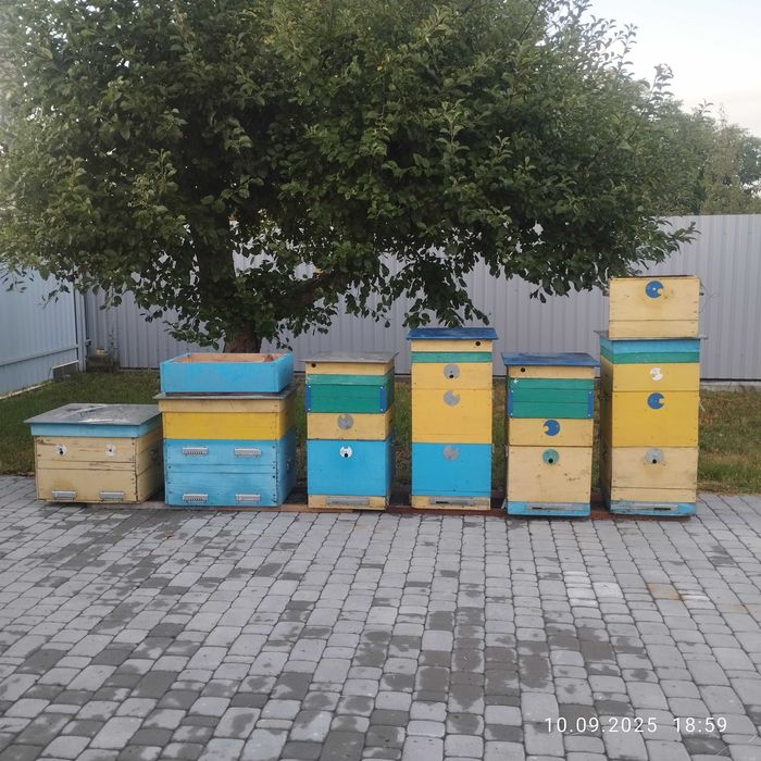 Вулики для бджіл б.в.