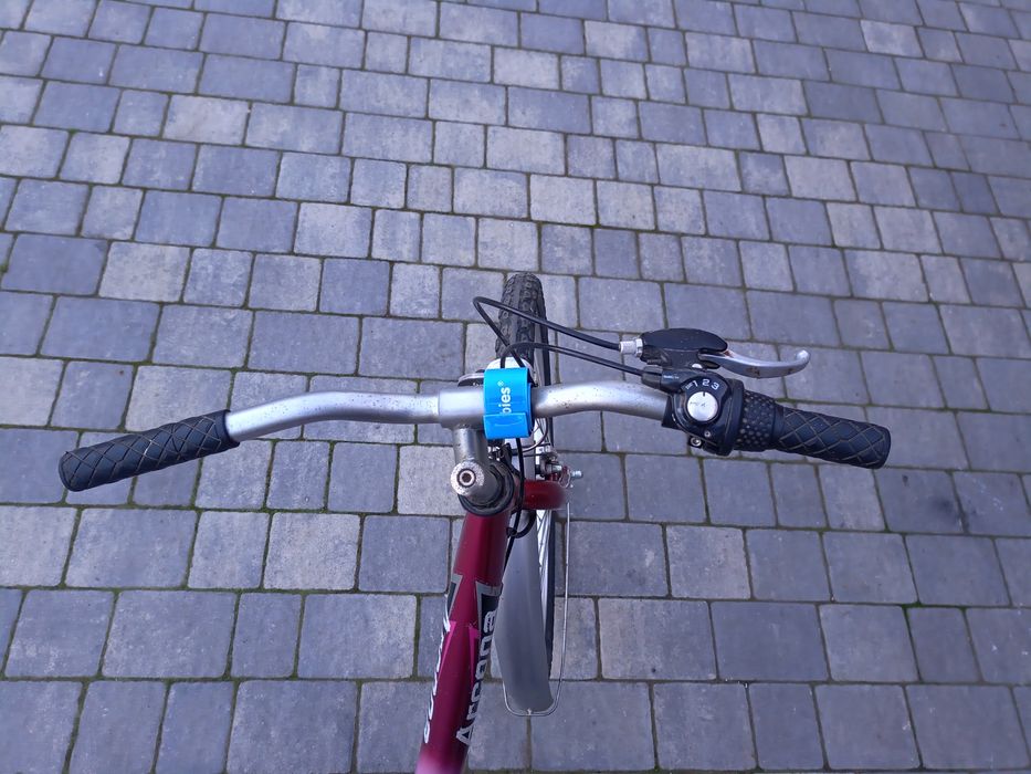 Rower dziewczęcy Arcona, Batavus 24