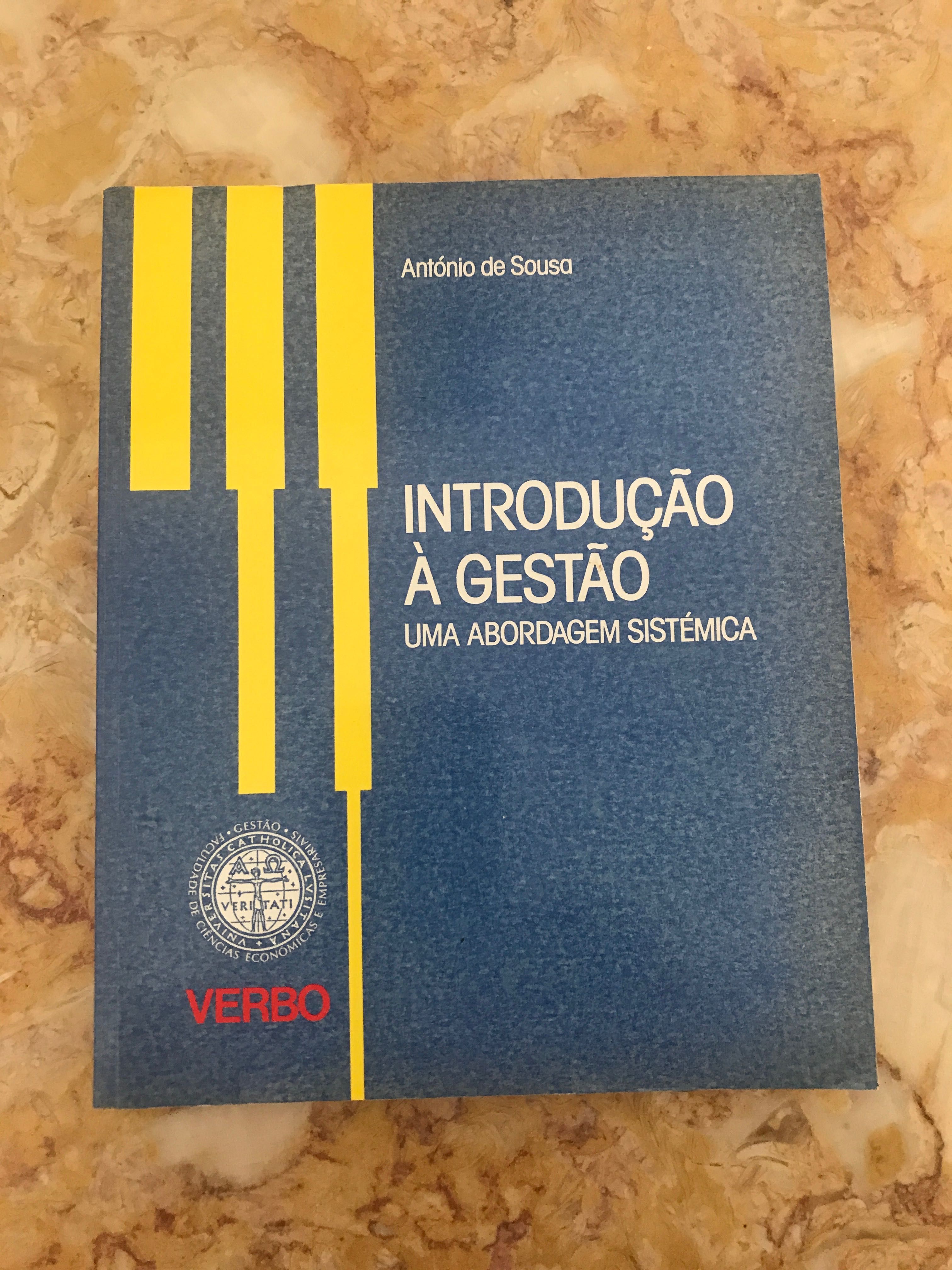 Livro introdução à gestão