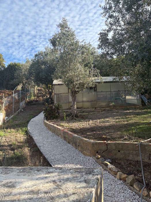 Terreno Sintra pode-se construir