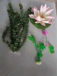 Ozdoby duże rośliny akwarium godula