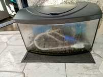 Akwarium 60l+ sprzęty