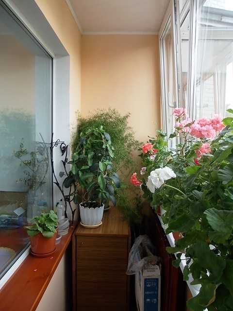 № 4419 - 3 к. квартира, Центр, Киевская, 2/9 пов., цегла