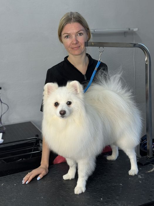 Грумер для собак