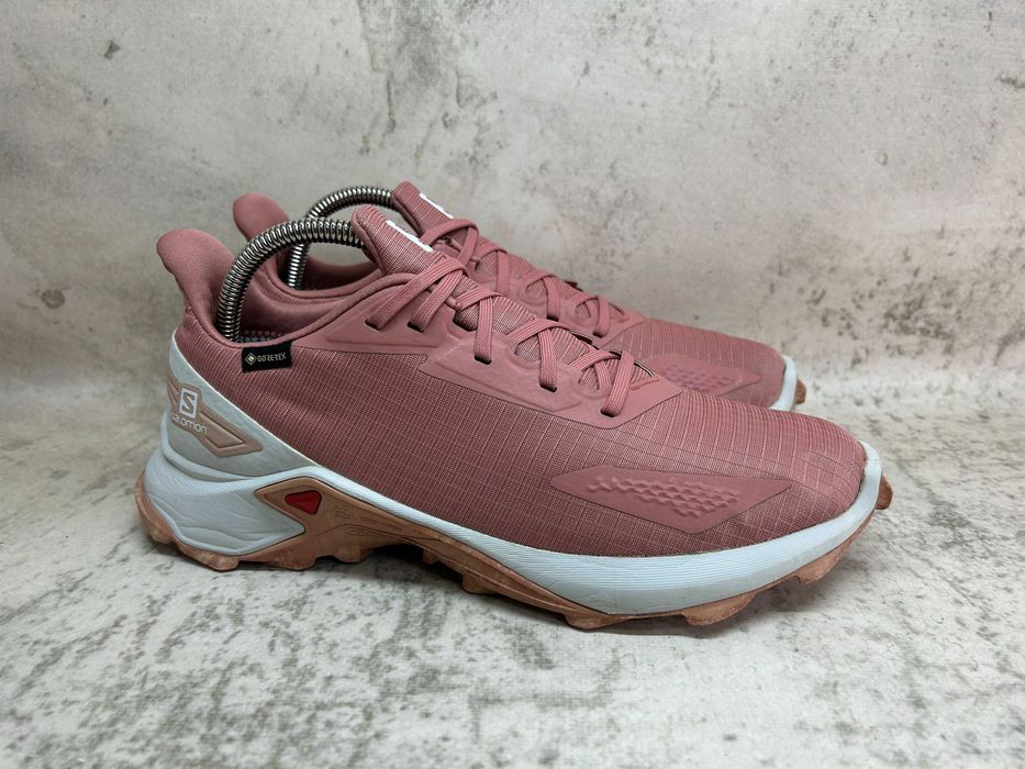 Кроссовки Salomon Alphacross Blast Gore-tex