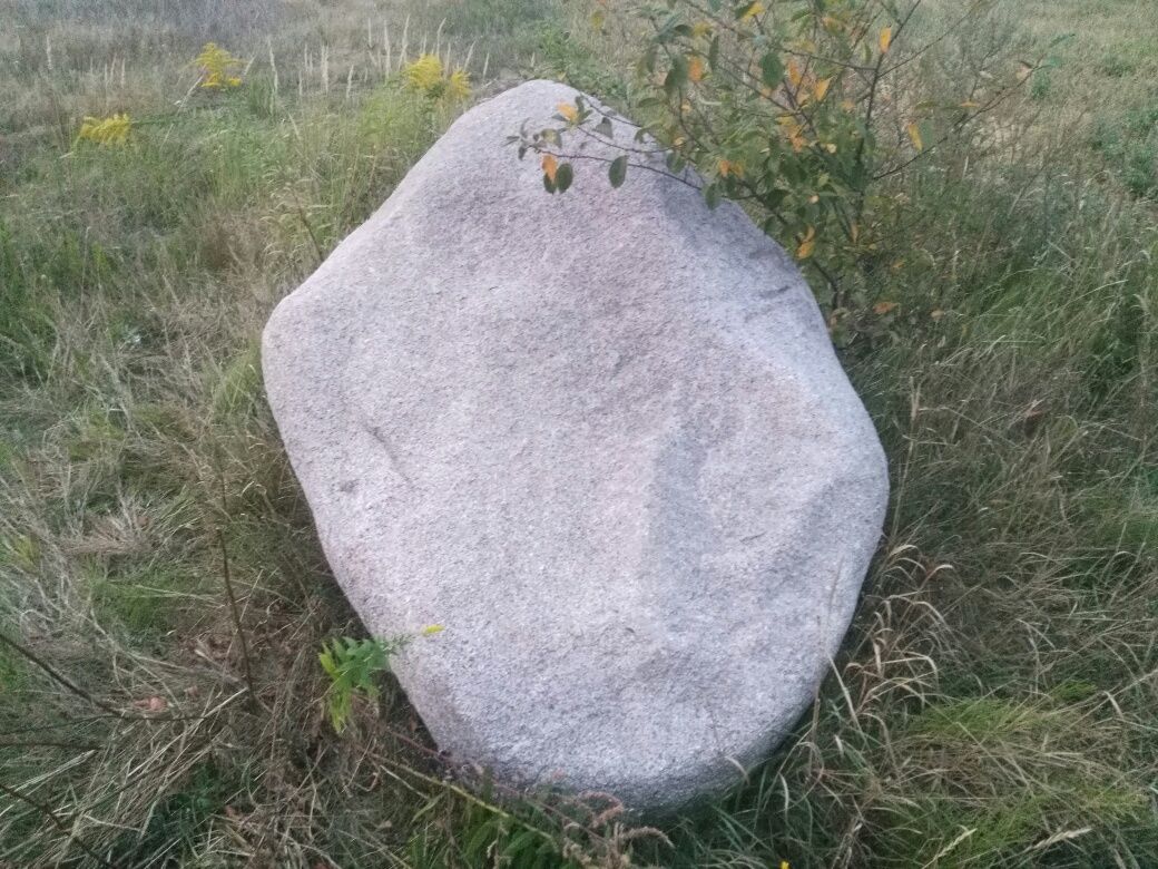 Kamień głaz skalniak