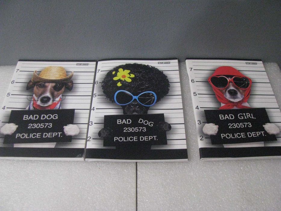 zestaw notesów 3szt mix A6 w kratkę 32 kartkowe Top 2000