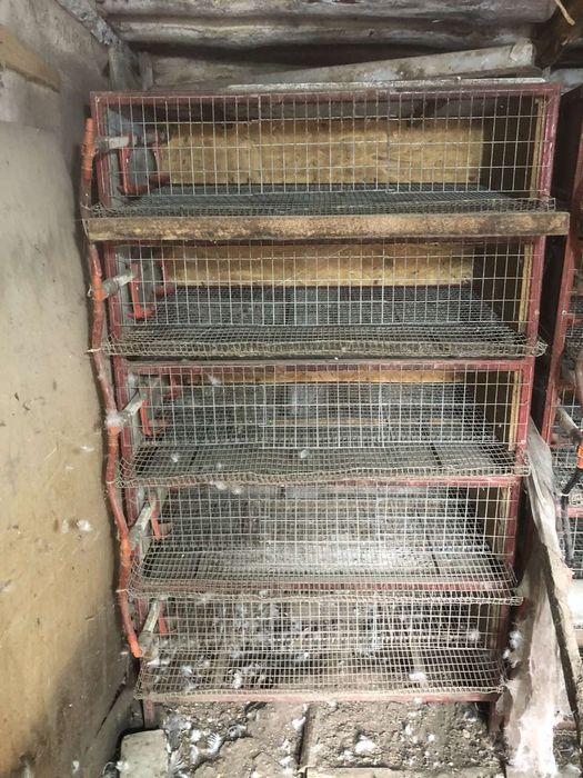 Клетки для перепелок