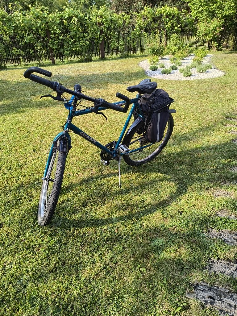 Rower Giant gsr-100