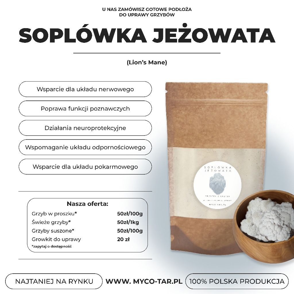 Soplówka Jeżowata (Lwia Grzywa). Proszek.