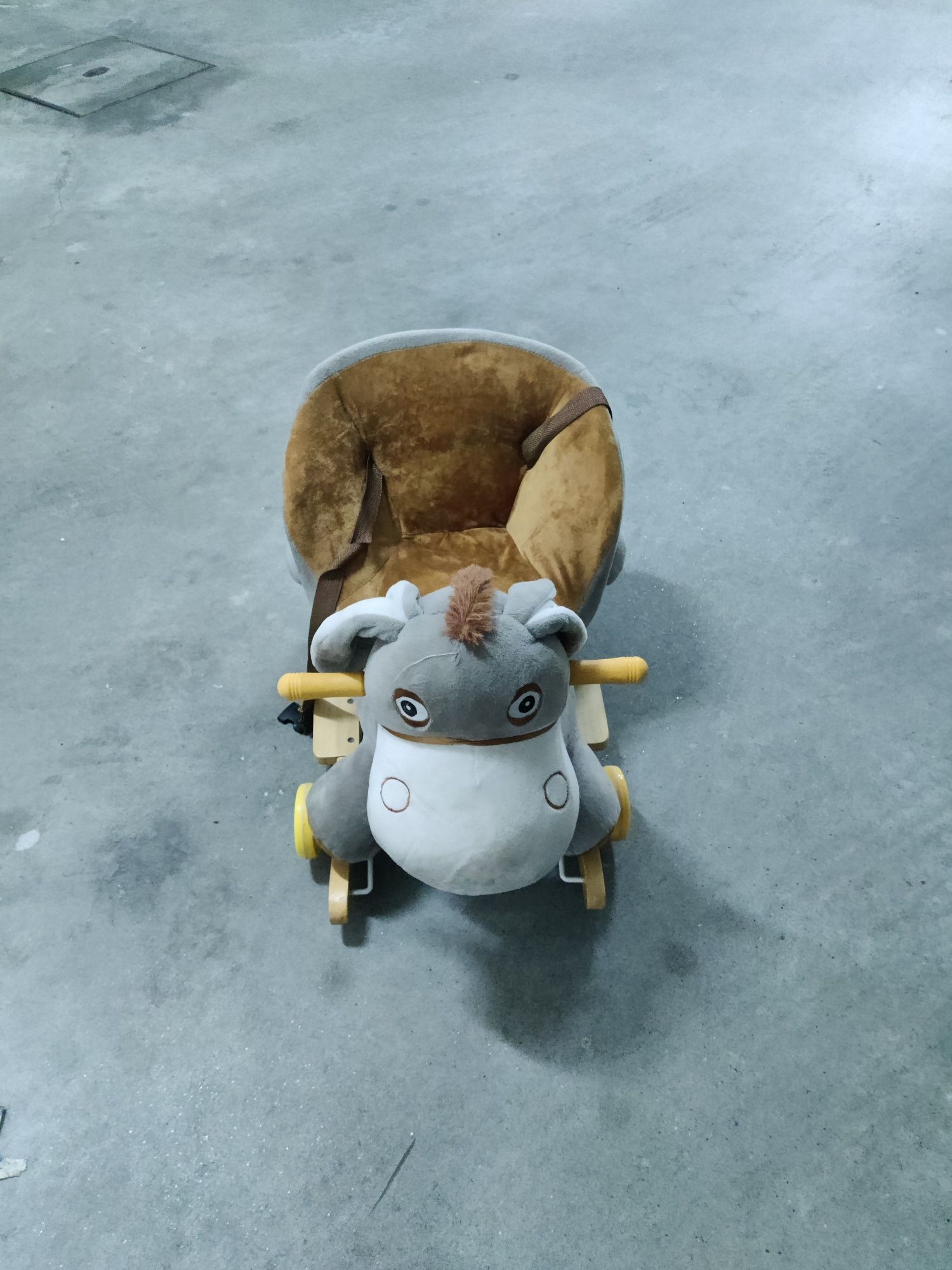 Burro de baloiço