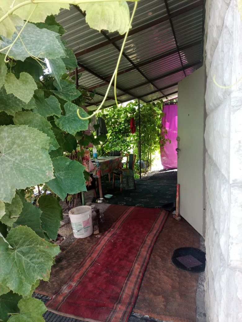 Продам дачу біля лісу