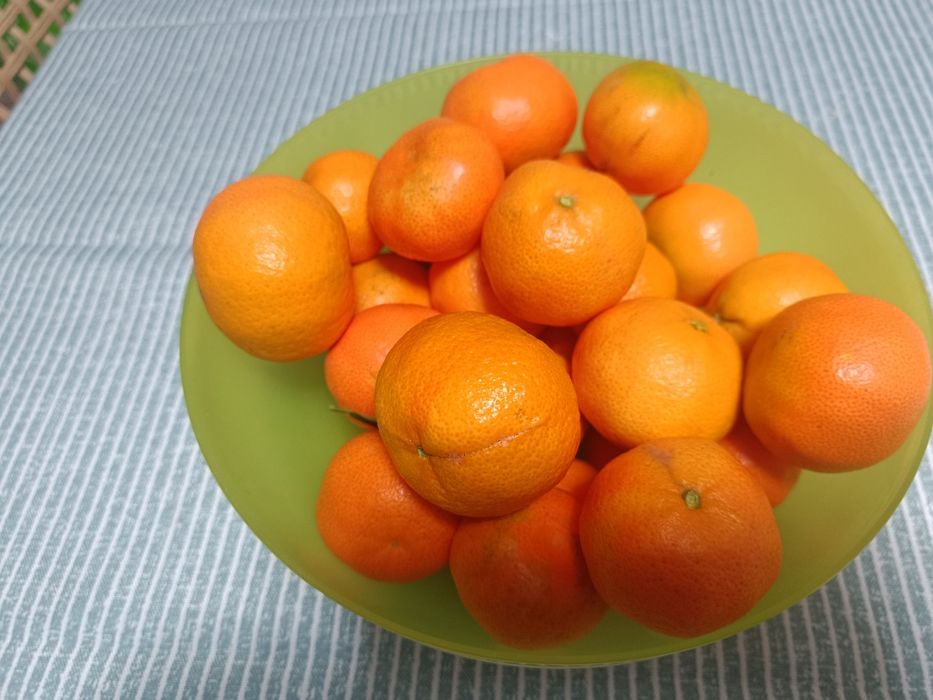 Tangerina Marroquina Doce - Vitamina C