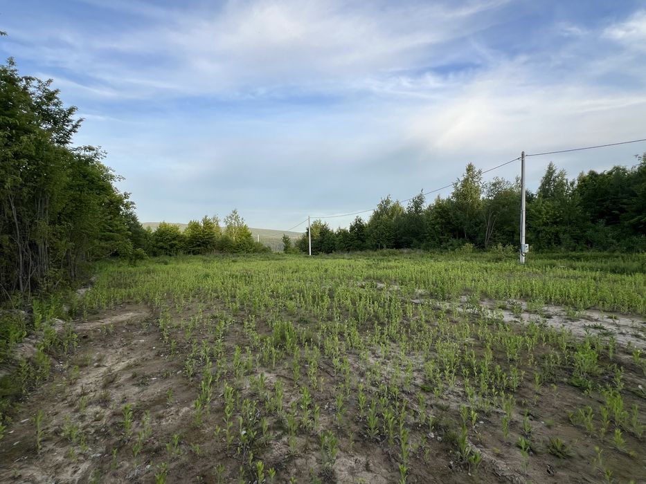 Ділянка Дубки(Парцеле)  10км від центру Ужгорода